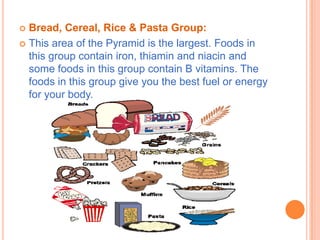  Bread, Cereal, Rice & Pasta Group:
 This area of the Pyramid is the largest. Foods in
  this group contain iron, thiamin and niacin and
  some foods in this group contain B vitamins. The
  foods in this group give you the best fuel or energy
  for your body.
 