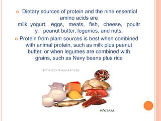   Dietary sources of protein and the nine essential
                    amino acids are
 milk, yogurt, eggs, meats, fish, cheese, poultr
         y, peanut butter, legumes, and nuts.
 Protein from plant sources is best when combined
    with animal protein, such as milk plus peanut
     butter, or when legumes are combined with
         grains, such as Navy beans plus rice
 