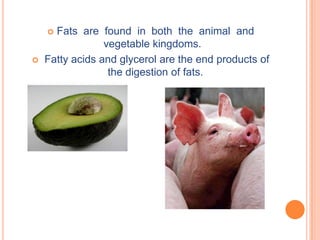  Fats are found in both the animal and
                 vegetable kingdoms.
   Fatty acids and glycerol are the end products of
                  the digestion of fats.
 