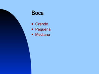 Boca Grande Peque ñ a Mediana 
