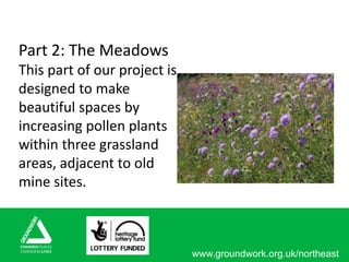 www.groundwork.org.uk/northeast
Part 2: The Meadows
This part of our project is
designed to make
beautiful spaces by
increasing pollen plants
within three grassland
areas, adjacent to old
mine sites.
 