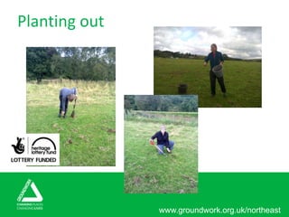 www.groundwork.org.uk/northeast
Planting out
 