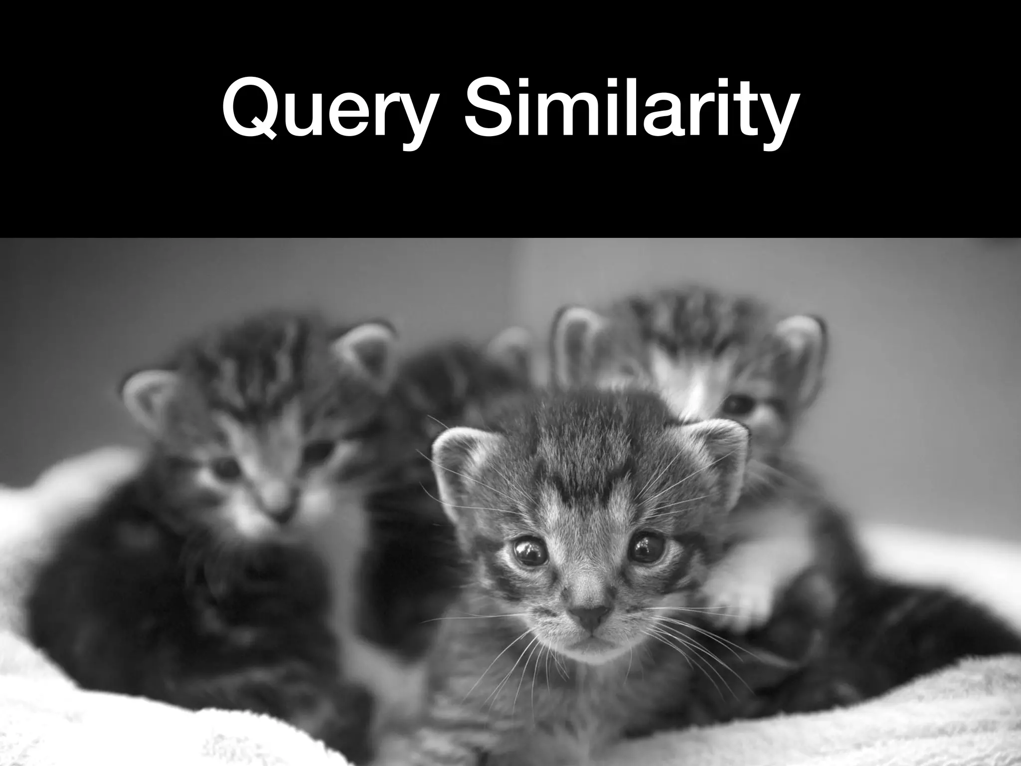 Query Similarity
 