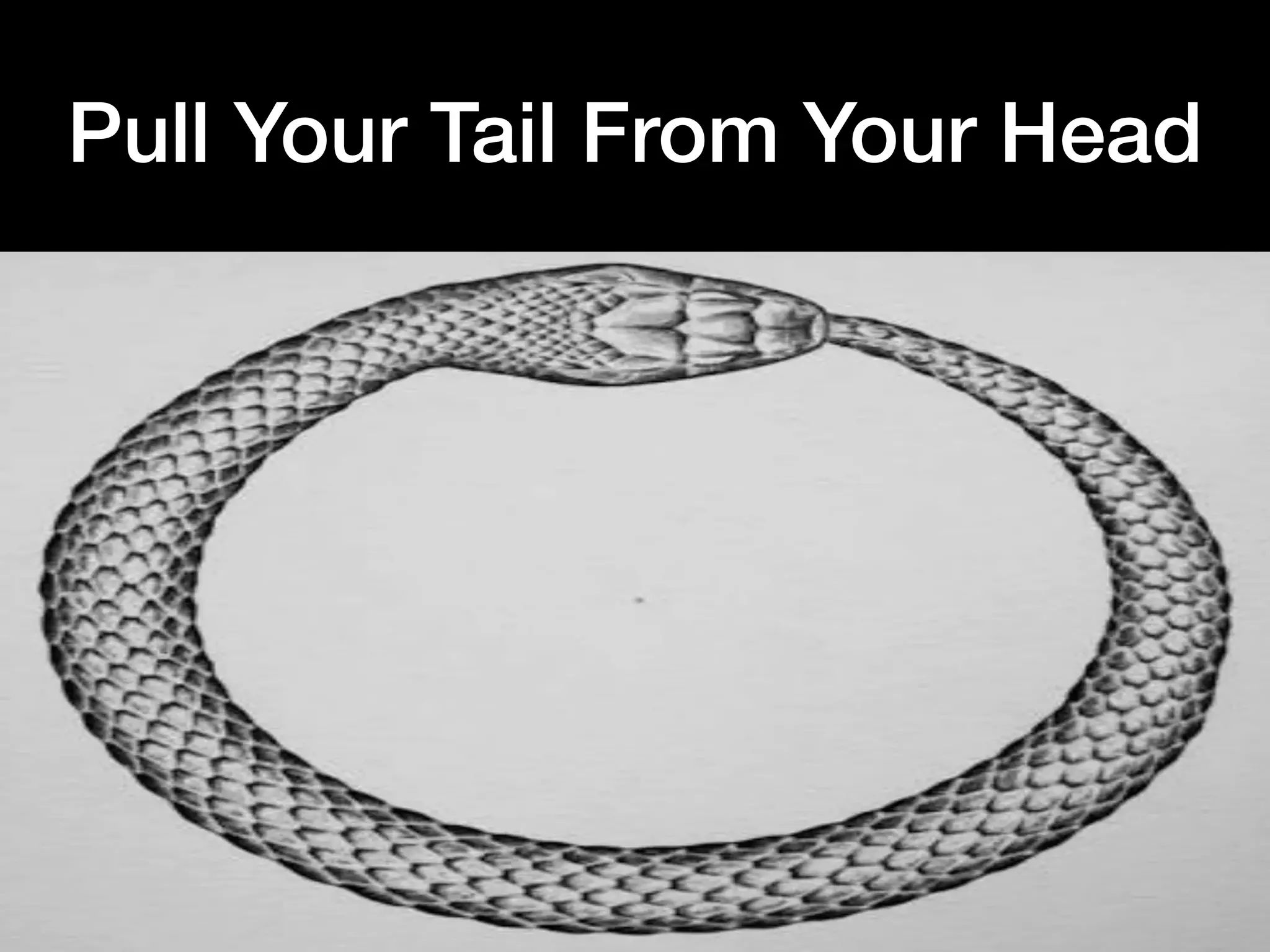 Pull Your Tail From Your Head
 