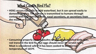 What Causes Bird Flu?
• H5N1 occurs naturally in wild waterfowl, but it can spread easily to
domestic poultry. The disease is transmitted to humans through
contact with infected bird feces, nasal secretions, or secretions from
the mouth or eyes.
• Consuming properly cooked poultry or eggs from infected birds does
not transmit the bird flu, but eggs should never be served runny.
Meat is considered safe if it has been cooked to an internal
temperature of 165ºF.
 