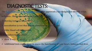 DIAGNOSTIC TESTS:
The U.S. Food and Drug Administration has approved a test designed to identify avian
influenza . However, the test isn’t widely available.
Following tests can be perform:
 auscultation (a test that detects abnormal breath sounds).
 white blood cell differential.
 nasopharyngeal culture.
 chest X-ray.
 Additional tests can be done to assess the functioning of your heart, kidneys, and liver.
 