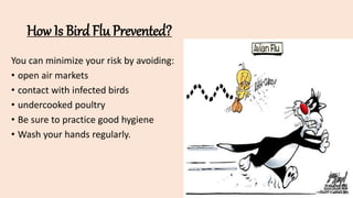 How Is Bird Flu Prevented?
You can minimize your risk by avoiding:
• open air markets
• contact with infected birds
• undercooked poultry
• Be sure to practice good hygiene
• Wash your hands regularly.
 