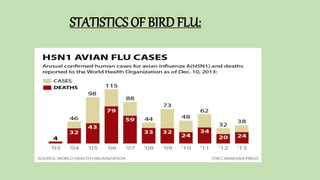 STATISTICS OF BIRD FLU:
 