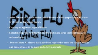 • Avian influenza is an infectious viral disease of birds (especially wild water
fowl such as ducks and geese).
• Causing no apparent signs of illness
• Sometimes spread to domestic poultry and cause large-scale outbreaks of
serious disease.
• Some of these AI viruses have also been reported to cross the species barrier
and cause disease in humans and other mammals.
 