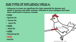 SUB-TYPES OF INFLUENZA VIRUS A:
• Influenza A viruses are significant for their potential for disease and
death in humans and other animals. Influenza A virus subtypes that have
been confirmed in humans, include:
H1N1
• Spanish flu
• human flu
• swine flu
H2N2
• Asian flu
H3N2
• Hong Kong flu
H5N1
• bird flu
 