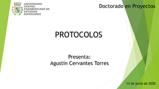 PROTOCOLOS
Presenta:
Agustín Cervantes Torres
13 de junio de 2020
Doctorado en Proyectos
 