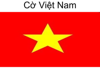 Cờ Việt Nam
 