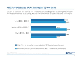 Index of Obstacles and Challenges: By Revenue
Levels of concern are consistent across revenue categories, revealing that middle
market companies, as a group, face a similar number of obstacles and challenges.

Base: 301 Participants
Q22 Thinking about the next 12 months, how concerned are you about each of the following?
43

 