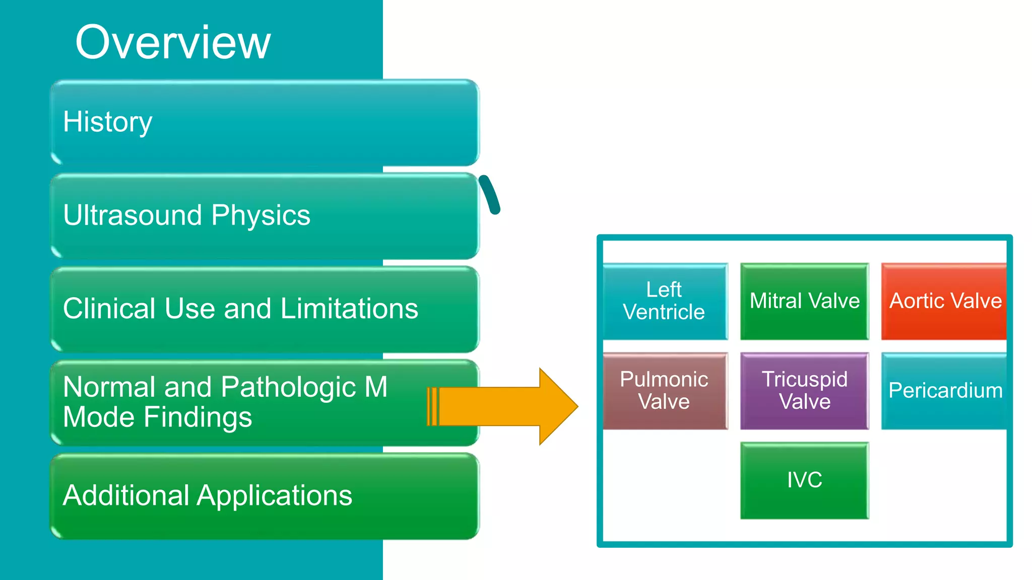 Overview
History
Ultrasound Physics
Clinical Use and Limitations
Normal and Pathologic M
Mode Findings
Additional Applications
Left
Ventricle
Mitral Valve Aortic Valve
Pulmonic
Valve
Tricuspid
Valve
Pericardium
IVC
 