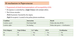Molecular Mechanisms and Genetic Basis of Self-Incompatibility in ...