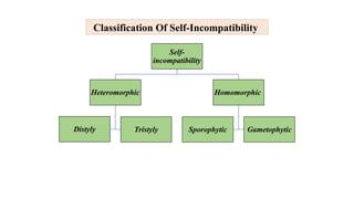 Molecular Mechanisms and Genetic Basis of Self-Incompatibility in ...