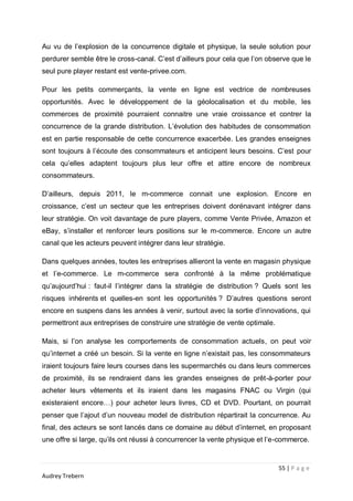 memoire licence professionnelle la multicanalisation des entreprises