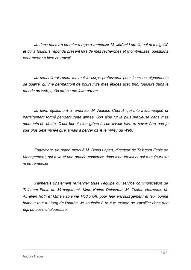 Mémoire Licence Professionnelle La multicanalisation des entreprises