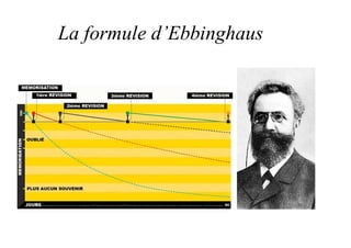 La formule d’Ebbinghaus
 