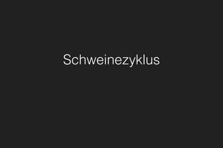 Schweinezyklus
 