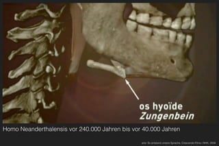 Homo Neanderthalensis vor 240.000 Jahren bis vor 40.000 Jahren
arte: So entstand unsere Sprache, Crescendo Films / NHK, 2008
 