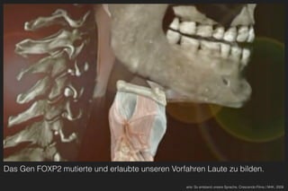 Das Gen FOXP2 mutierte und erlaubte unseren Vorfahren Laute zu bilden.
arte: So entstand unsere Sprache, Crescendo Films / NHK, 2008
 