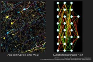 Aus dem Cortex einer Maus
cc ZEISS Microscopy https://www.ﬂickr.com/photos/zeissmicro/10799665915/
cc Akritasa https://commons.wikimedia.org/wiki/File:Two-layer_feedforward_artiﬁcial_neural_network.png
Künstlich neuronales Netz
 
