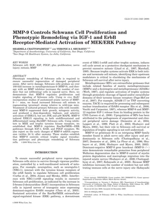 GLIA 57:1316–1325 (2009)




MMP-9 Controls Schwann Cell Proliferation and
Phenotypic Remodeling via IGF-1 and ErbB
Receptor-Mediated Activation of MEK/ERK Pathway
SHARMILA CHATTOPADHYAY1,2 AND VERONICA I. SHUBAYEV1,2*
1
  Department of Anesthesiology, University of California, San Diego, California
2
  San Diego VA Healthcare System, La Jolla, California


KEY WORDS                                                          event of NRG-1-erbB and other trophic systems, induces
Schwann cell; EGF; IGF; PDGF; glia; proliferation; nerve           cell cycle arrest as a protective checkpoint mechanism to
injury; mitosis; MMP                                               prevent excessive mitosis (Lloyd et al., 1997; Marshall,
                                                                   1995). Because trophic systems activate ERK to both initi-
                                                                   ate and terminate cell mitosis, identifying their upstream
ABSTRACT
                                                                   modulators is critical to elucidating the mechanisms of
Phenotypic remodeling of Schwann cells is required to
ensure successful regeneration of damaged peripheral               Schwann cell survival after nerve injury.
axons. After nerve damage, Schwann cells produce an over             Metalloproteases (MPs) are extracellular proteases that
100-fold increase in metalloproteinase-9 (MMP-9), and ther-        include related families of matrix metalloproteinases
apy with an MMP inhibitor increases the number of resi-            (MMPs) and a dysintegrin and metalloproteases (ADAMs)
dent (but not inﬁltrating) cells in injured nerve. Here, we        (Werb, 1997), and regulate activation of trophic systems
demonstrate that MMP-9 regulates proliferation and                 through proteolytic cleavage of ligand and/or exracellular
trophic signaling of Schwann cells. Using in vivo BrdU             domains of their tyrosine kinase receptors (Page-McCaw
incorporation studies of axotomized sciatic nerves of MMP-         et al., 2007). For example, ADAM-17 (or TNF converting
92/2 mice, we found increased Schwann cell mitosis in              enzyme, TACE) is required for processing and subsequent
regenerating (proximal) stump relative to wild-type mice.
Treatment of cultured primary Schwann cells with recombi-
                                                                   nuclear translocation of ErbB4 receptor (Rio et al., 2000;
nant MMP-9 suppressed their growth, mitogenic activity,            Vecchi and Carpenter, 1997), whereas MMP-9 and MMP-
and produced a dose-dependent, biphasic, and selective             12 regulate IGF-1 release from its binding protein in the
activation of ERK1/2, but not JNK and p38 MAPK. MMP-9              CNS (Larsen et al., 2006). Upregulation of MPs has been
induced ERK1/2 signaling in both undifferentiated and              attributed to the pathogenesis of experimental and clini-
differentiated (using dbcAMP) Schwann cells. Using inhibi-         cal peripheral nerve damage (Demestre et al., 2004;
tors to MEK and trophic tyrosine kinase receptors, we              Leppert et al., 1999; Platt et al., 2003; Shubayev and
established that MMP-9 regulates Ras/Raf/MEK—ERK                   Myers, 2002), but their role in Schwann cell survival or
pathways through IGF-1, ErbB, and PDGF receptors. We               regulation of trophic signaling is not well understood.
also report on the early changes of MMP-9 mRNA expres-
                                                                     MMP-9 (or gelatinase B) is an intriguing MMP family
sion (within 24 h) after axotomy. These studies establish
that MMP-9 controls critical trophic signal transduc-              member found in adult nerve only after injury and pre-
tion pathways and phenotypic remodeling of Schwann                 dominantly in Schwann cells (Chattopadhyay et al.,
cells. V 2009 Wiley-Liss, Inc.
            C                                                      2007; Demestre et al., 2004; La Fleur et al., 1996; Shu-
                                                                   bayev et al., 2006; Shubayev and Myers, 2000, 2002).
                                                                   Dominant-negative MMP-9 gene knockout (MMP-92/2)
                                                                   mice demonstrate remarkable protection from peripheral
                            INTRODUCTION                           Wallerian degeneration due to MMP-9 control of myelin
                                                                   protein degradation and macrophage migration into the
  To ensure successful peripheral nerve regeneration,              injured sciatic nerves (Shubayev et al., 2006; Chattopad-
Schwann cells strive to survive through vigorous prolifer-         hyay et al., 2007; Kobayashi et al., 2008). Because MMP
ation, controlled by a well-coordinated network of mito-           inhibition increases the number of resident but not inﬁl-
gens. For example, neuregulins, such as neuregulin-1               trating immune cells at the nerve injury site (Kobayashi
(NRG-1), interact with the tyrosine kinase receptors of
the erbB family to regulate Schwann cell proliferation
(Corfas et al., 2004; Jessen and Mirsky, 2005). Interfer-
                                                                    Grant sponsor: NIH/NINDS; Grant number: R21 NS060307-01; Grant sponsor:
ence with NRG-1-erbB signaling results in excessive                Department of Veterans Affairs (Merit Review Award).
Schwann cell proliferation, as indicated by the increase in          *Correspondence to: Veronica I. Shubayev, MD, Department of Anesthesiology,
5-bromo-2-deoxyuridine (BrdU) incorporation in Schwann             University of California, San Diego, School of Medicine, 9500 Gilman Dr., MTF-
                                                                   447, La Jolla, CA 92093-0629, USA. E-mail: vshubayev@ucsd.edu
cells in injured nerves of transgenic mice expressing                Received 22 July 2008; Accepted 24 December 2008
dominant-negative ErbB4 receptor (Chen et al., 2003).                DOI 10.1002/glia.20851
Sustained activation of the Ras/Raf/MEK extracellular                Published online 19 February 2009 in Wiley InterScience (www.interscience.
signal-regulated kinase (ERK) pathway, a downstream                wiley.com).


V 2009
C        Wiley-Liss, Inc.
 