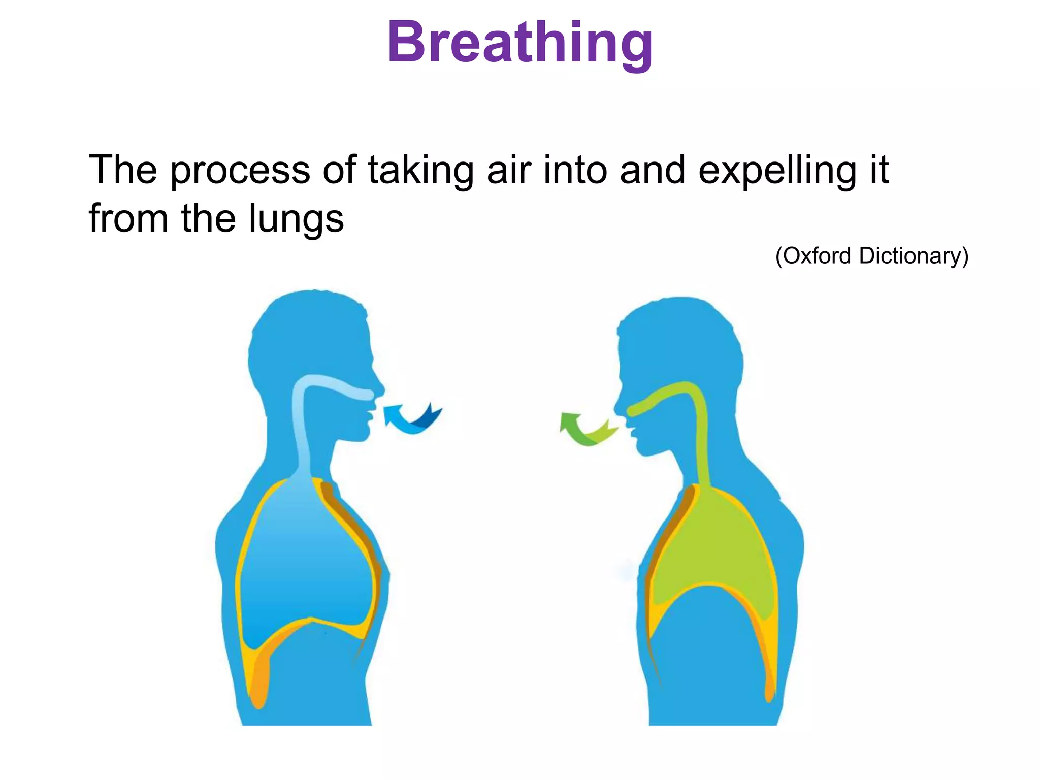 Breathing
The process of taking air into and expelling it
from the lungs
(Oxford Dictionary)
 