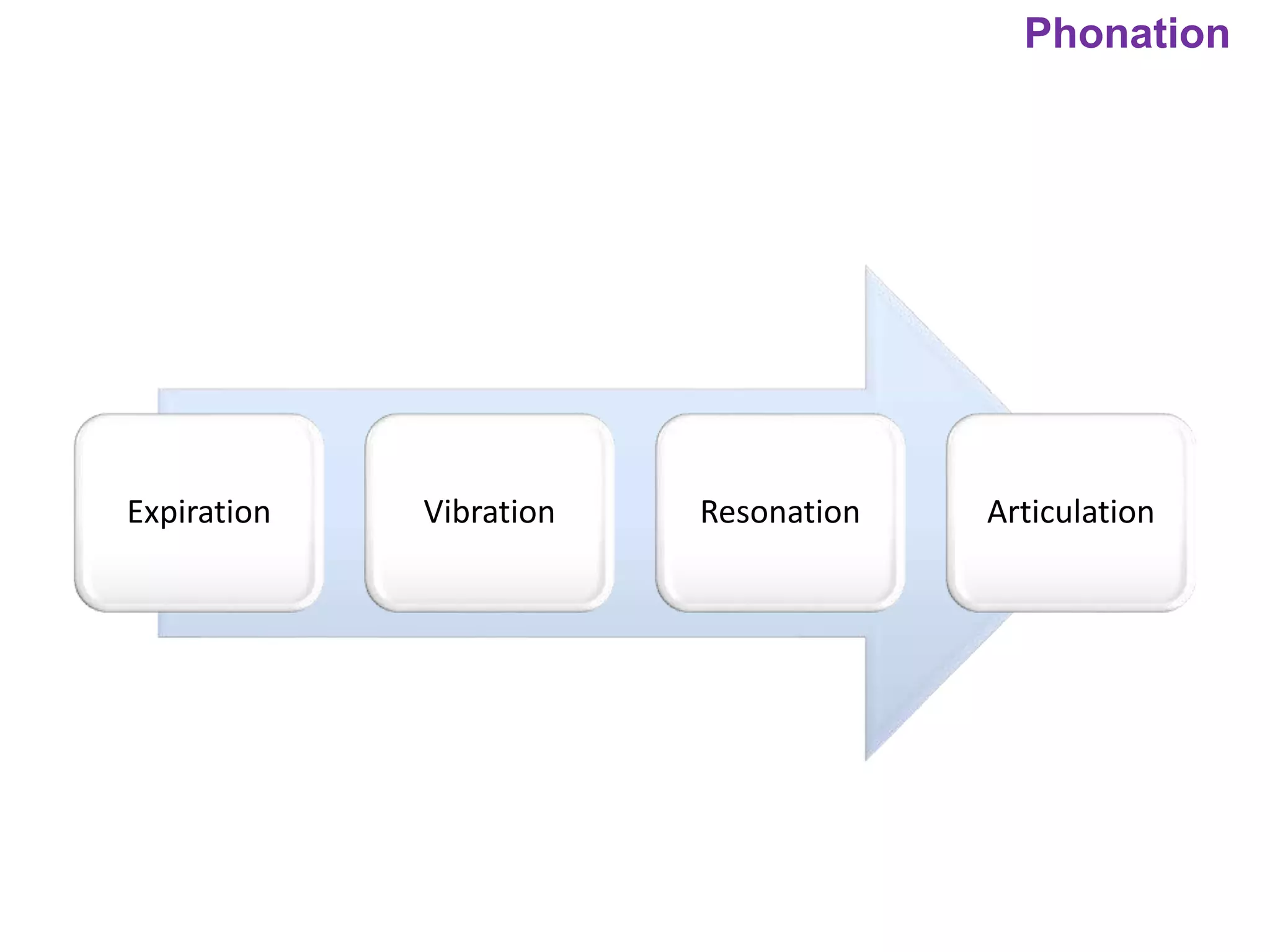 Phonation
Expiration Vibration Resonation Articulation
 