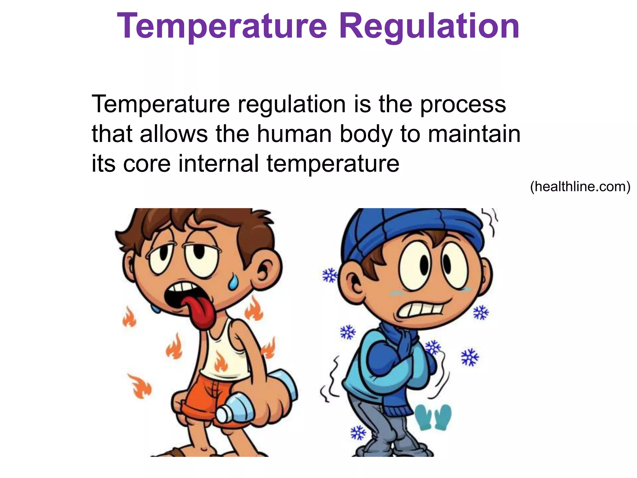 Temperature Regulation
Temperature regulation is the process
that allows the human body to maintain
its core internal temperature
(healthline.com)
 