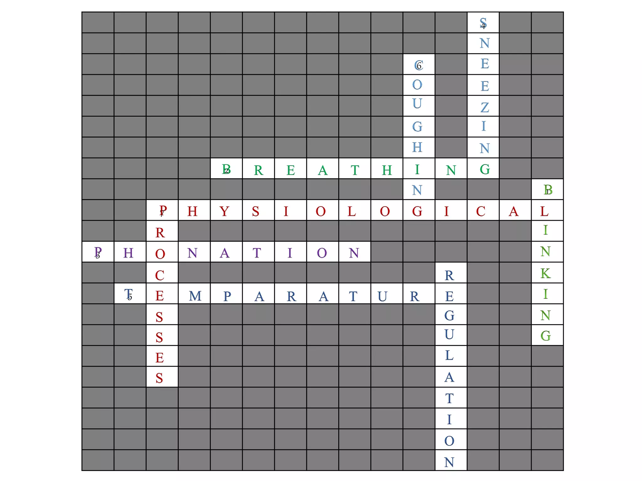 4
6
2
1
7
3
5
G
N
Z
E
E
N
S
I
H
G
U
O
C
N
I NHTAERB
P H Y S I O L O G I C A
R
O
C
E
S
S
E
S
L
P H N A T I O N
T M P A R A T U R E
R
G
U
L
A
T
I
O
N
 