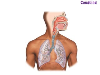 Coughing
 