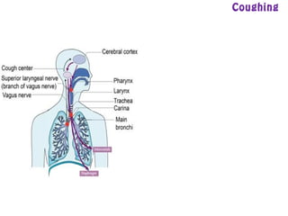 Coughing
 