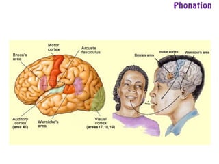 Phonation
 