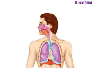 Breathing
 