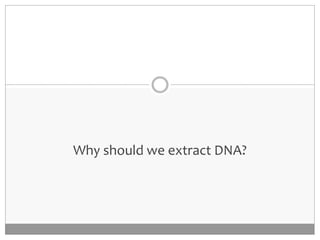 DNA Extraction and Quantity-Quality Check | PPTX