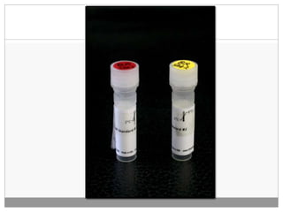 DNA Extraction and Quantity-Quality Check | PPTX