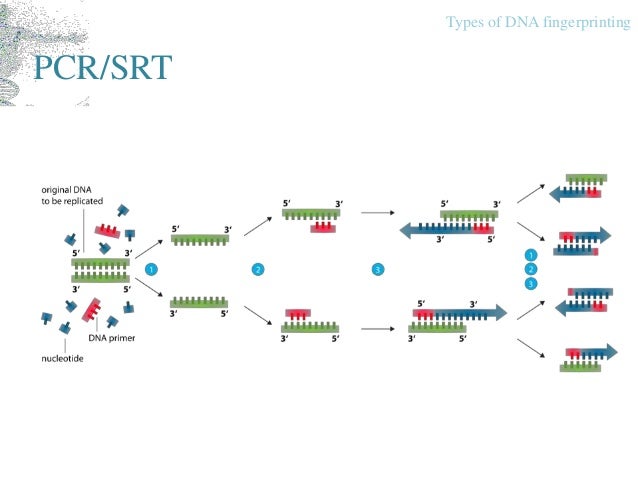 mandatory dna fingerprinting mandatory dna fingerprinting