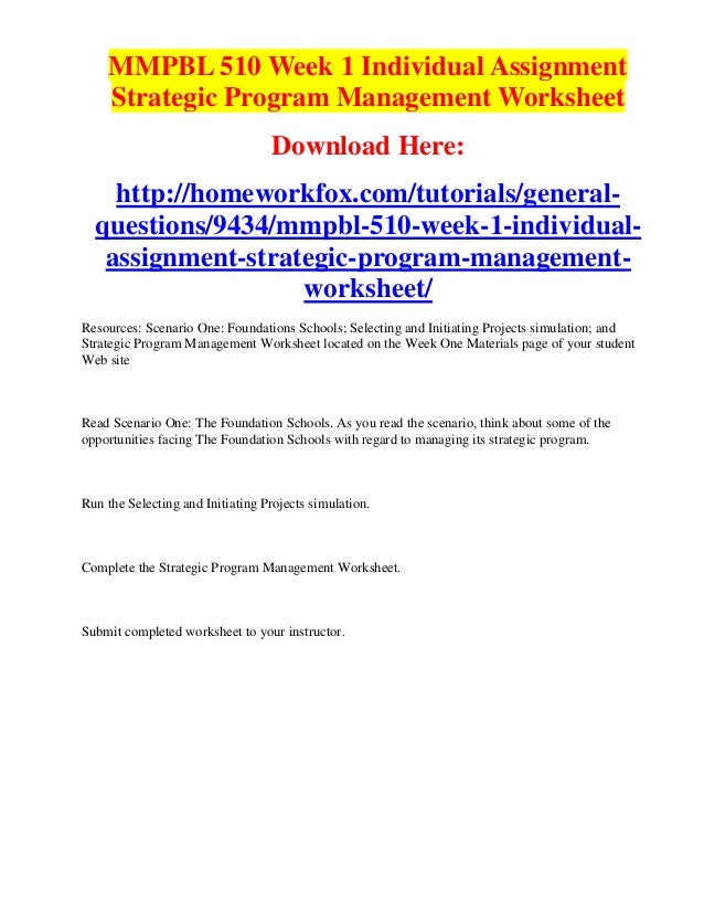 Mmpbl program management worksheet essay 07 image