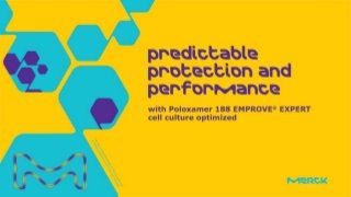 Predictable Protection and Performance with Poloxamer 188 EMPROVE® EXPERT Cell Culture Optimized