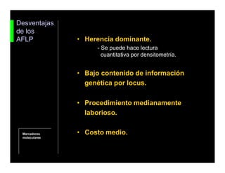 • Herencia dominante.
Desventajas
de los
AFLP
- Se puede hace lectura
cuantitativa por densitometría.
• Bajo contenido de información
genética por locus.
• Procedimiento medianamente
laborioso.
• Costo medio.Marcadores
moleculares
 
