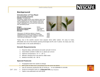 Introduction
Background
Introduction of Tea Plant
Tea (Camellia sinensis)
Family: Camelliaceae
Evergreen wildly grows into medium size tree,
under cultivation it is pruned and trained as
low spreading bush. Into medium size tree,
under cultivation it is pruned and trained as
low spreading bush.
Origin: China
Drink as a beverage: 7th century
Spread to Japan: 1000 AD
Europe: 17th century
Discovery of wild tea plants in Assam: 1823
Establishment of tea committee in India: 1834
Raising of nursery in Bot. Gardens Calcutta: 1835
Commercial cultivation in India: 1836
Today, tea is the world's second most popular drink (after water). It's easy to make,
affordable and one of the fastest growing beverages (6.5% over 5 years). So enjoy your tea.
Everyone else in the world definitely is.
Growth Requirements
1. Requires deep, well drained and acidic soil (pH 4.5-6.5)
2. Intermittent rainfall of 1000 mm or above per annum
3. Optimum temperature: 12o
C - 30 o
C
4. Altitude: Ranging from sea level to 2000 meter
5. Relative Humidity: 60 – 80 %
Special Features
• Propagated both from seeds & cuttings
• Both green & black tea is processed from the same tea plants
• Has an economic productive life of 70-90 yrs. Is non-palatable to animals
• Grows as evergreen bush or medium size tree
• Highly cross-pollinated and self sterile
2007 - 2010 3Hamdard University Students
 
