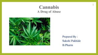 Cannabis
A Drug of Abuse
Prepared By :
Sakshi Pakhide
B.Pharm
1
 