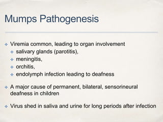 Mumps Pathogenesis 
✤ Viremia common, leading to organ involvement 
✤ salivary glands (parotitis), 
✤ meningitis, 
✤ orchitis, 
✤ endolymph infection leading to deafness 
✤ A major cause of permanent, bilateral, sensorineural 
deafness in children 
✤ Virus shed in saliva and urine for long periods after infection 
 