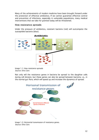 Many of the achievements of modern medicine have been brought forward under
the protection of effective antibiotics. If we cannot guarantee effective control
and prevention of infections, especially in vulnerable populations, many medical
interventions that we take for granted today will be threatened.

How resistance spreads
Under the pressure of antibiotics, resistant bacteria (red) will outcompete the
susceptible bacteria (blue).

Image 1.1: How resistance spreads
Source: Otto Cars

Not only will the resistance genes in bacteria be spread to the daughter cells
during cell division, but these genes can also be spread between bacteria, i.e., in
the normal gut flora, which will speed up and increase the dynamics of spread.

Image 1.2: Horizontal transmission of resistance genes.
Source: Otto Cars

	
  

12	
  

 