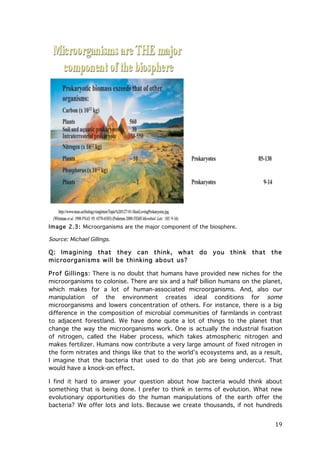 Image 2.3: Microorganisms are the major component of the biosphere.

Source: Michael Gillings.

Q: Im agining that they can think, what
m icroorganism s will be thinking about us?

do

you

think

that

the

Prof Gillings: There is no doubt that humans have provided new niches for the
microorganisms to colonise. There are six and a half billion humans on the planet,
which makes for a lot of human-associated microorganisms. And, also our
manipulation of the environment creates ideal conditions for some
microorganisms and lowers concentration of others. For instance, there is a big
difference in the composition of microbial communities of farmlands in contrast
to adjacent forestland. We have done quite a lot of things to the planet that
change the way the microorganisms work. One is actually the industrial fixation
of nitrogen, called the Haber process, which takes atmospheric nitrogen and
makes fertilizer. Humans now contribute a very large amount of fixed nitrogen in
the form nitrates and things like that to the world’s ecosystems and, as a result,
I imagine that the bacteria that used to do that job are being undercut. That
would have a knock-on effect.
I find it hard to answer your question about how bacteria would think about
something that is being done. I prefer to think in terms of evolution. What new
evolutionary opportunities do the human manipulations of the earth offer the
bacteria? We offer lots and lots. Because we create thousands, if not hundreds

	
  

19	
  

 