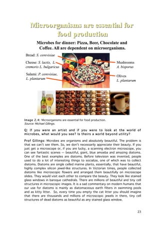 Image 2.4: Microorganisms are essential for food production.
Source: Michael Gillings.

Q: If you were an artist and if you were to look at the world of
m icrobes, what would you see? Is theirs a world beyond utility?
Prof Gillings: Microbes are organisms and absolutely beautiful. The problem is
that we can’t see them. So, we don’t necessarily appreciate their beauty. If you
just get a microscope or, if you are lucky, a scanning electron microscope, you
can see fantastic scenes –- beautiful, giant, blue amoeba and amazing diatoms.
One of the best examples are diatoms. Before television was invented, people
used to do a lot of interesting things to socialize, one of which was to collect
diatoms. Diatoms are single celled marine plants, essentially, that have beautiful,
highly complex silicon jewel-like structures. In Victorian times, people collected
diatoms like microscopic flowers and arranged them beautifully on microscope
slides. They would visit each other to compare the beauty. They look like stained
glass windows in baroque cathedrals. There are millions of beautiful and tiny cell
structures in microscopic images. It is a sad commentary on modern humans that
our use for diatoms is mainly as diatomaceous earth filters in swimming pools
and as kitty litter. So, every time you empty the cat litter you should imagine
that there are thousands and millions of microscopic jewels in there, tiny cell
structures of dead diatoms as beautiful as any stained glass window.

	
  

23	
  

 