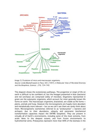 Image 3.2 Evolution of micro and macroscopic organisms.

Source: Linda Blackall based on Pace, N.R. (1997), A Molecular View of Microbial Diversity
and the Biosphere, Science: 276, 734–740.

This diagram shows the evolutionary pathways. The progenitor or origin of life on
earth is difficult to be confident of, but the lineages presented in blue (bacteria)
and red (archaea) are comprised solely of microbes. Organisms represented in
green are the eukaryotic organisms, which account for most generally known life
forms on earth. The macroscopic organisms, bracketed, are visible as life forms =
plants, animals and fungi. However the microorganisms are hugely more abundant
and metabolically more relevant – but as we can’t see them we rarely think about
them. Microorganisms (sometimes referred to as “prokaryotes” = bacteria and
archaea), due to their abundance, ubiquity and panoramic biochemical
transformation capacities impact the ENTIRE biosphere. They are present in
virtually all of Earth’s environments, including some of the most extreme, from
acidic lakes to the deepest oceans, and from frozen environments to
hydrothermal vents. Prokaryotes represent more than 90% of the biomass in the

	
  

27	
  

 