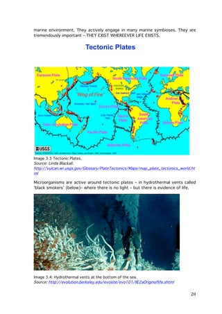 marine environment. They actively engage in many marine symbioses. They are
tremendously important – THEY EXIST WHEREEVER LIFE EXISTS.

Image 3.3 Tectonic Plates.
Source: Linda Blackall.
http://vulcan.wr.usgs.gov/Glossary/PlateTectonics/Maps/map_plate_tectonics_world.ht
ml

Microorganisms are active around tectonic plates – in hydrothermal vents called
‘black smokers’ (below)– where there is no light – but there is evidence of life.

Image 3.4: Hydrothermal vents at the bottom of the sea.
Source: http://evolution.berkeley.edu/evosite/evo101/IIE2aOriginoflife.shtml

	
  

28	
  

 